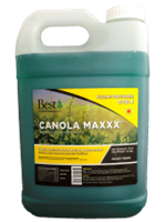 Product - Canola Maxxx